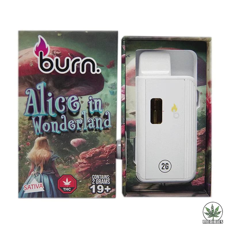 Burn 2G Disposable THC Vape - Mohawk Medibles