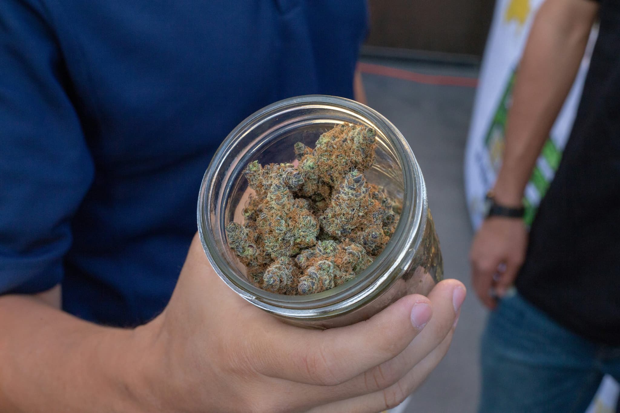 Cannabis cultivation and heritage — Mohawk Medibles story